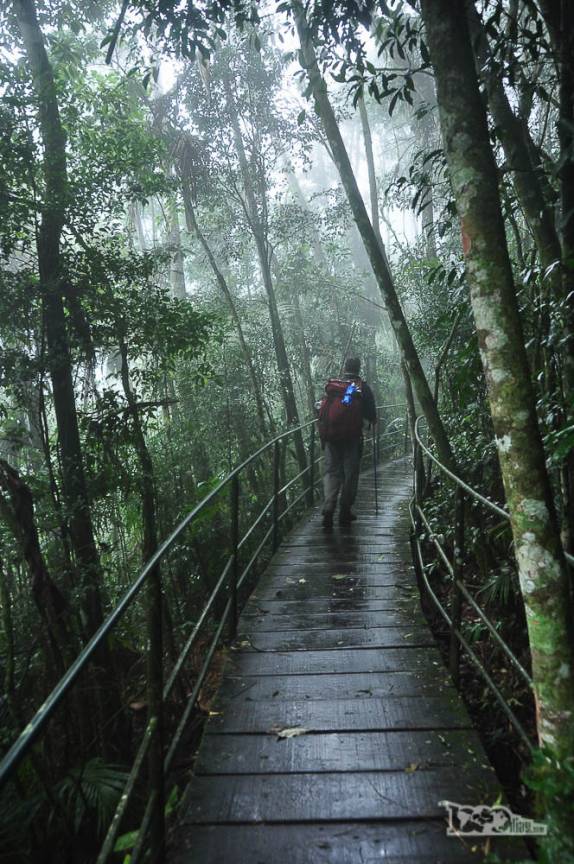 Caminhando por trilha suspensa em meio à vegetação densa da parte baixa do Parque Nacional da Serra dos Órgãos, no Rio de Janeiro, próximo a portaria de Teresópolis
